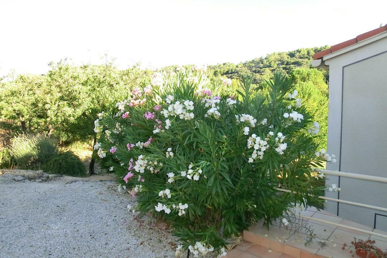 Gite Charlrose At La Platriere Cazedarnes Exterior foto